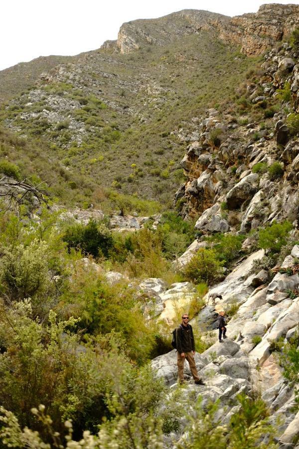 Kingfisher Cottages, Langhoogte Farm Montagu Luaran gambar